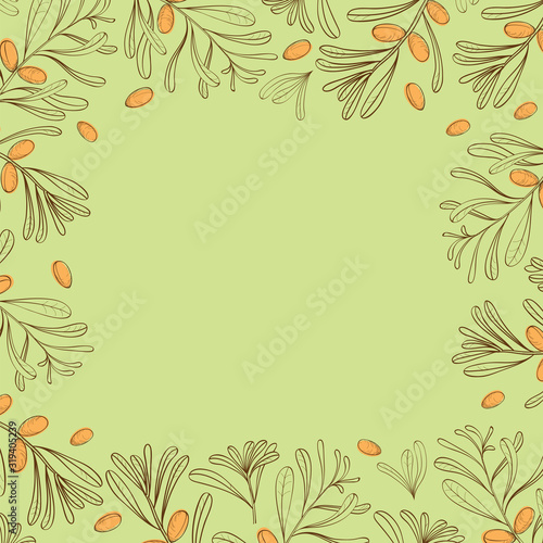 Background with branches of argania for posters, covers and labels for cosmetics. Vector.