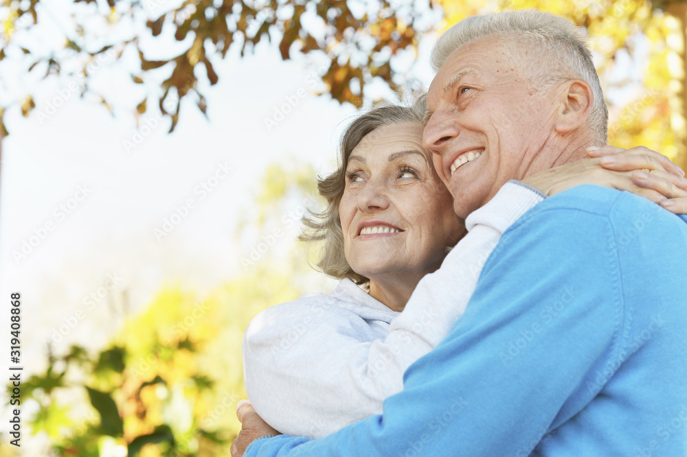 Portrait of beautiful senior couple in the park Portrait of beautiful senior couple in the park