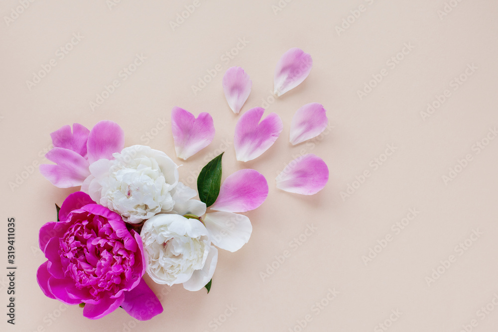 Beautiful pink and white peonies and petals lying on a light background. Postcard, greeting, gift. The view from the top