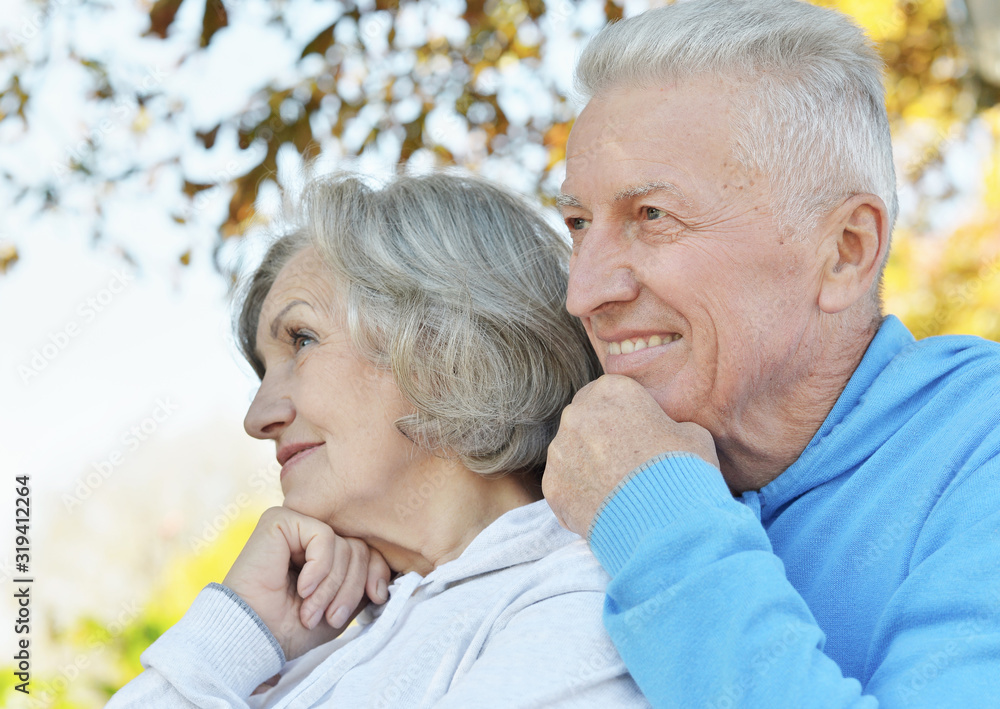 Portrait of beautiful senior couple in the park Portrait of beautiful senior couple in the park