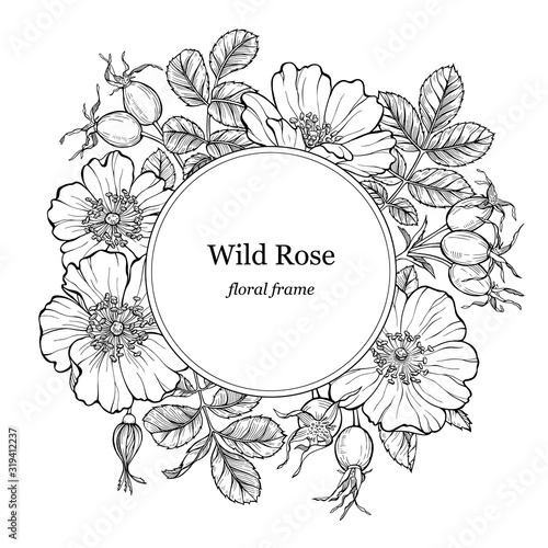 Wild rose flowers and berries round frame. Line art drawing. Outline vector floral border, rosehip background