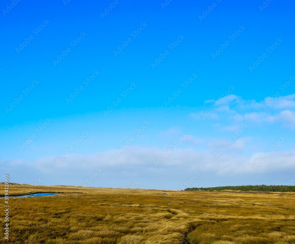 Salzwiese St. Peter-Ording Herbst Salzwiese St. Peter-Ording Herbst