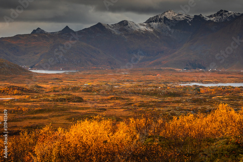 Autumn in Lofoten wiht pretty colours and great light. Norway landscapes with mountains.