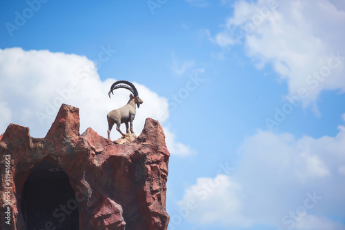 Canvas-taulu Sculpture of a mountain goat on an artificial mountain rock in zoo