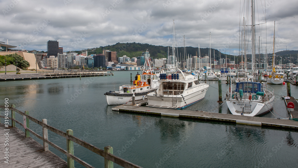 Wellington New Zealand Harbour. Yachts