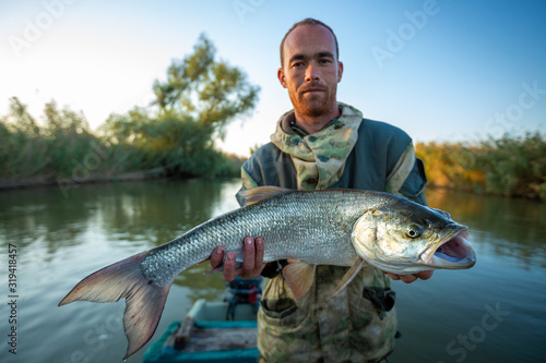 Fototapeta Naklejka Na Ścianę i Meble -  Young angler holds big Asp fish (Aspius aspius) being on the river in Astrakhan Region at sunrise, Russia