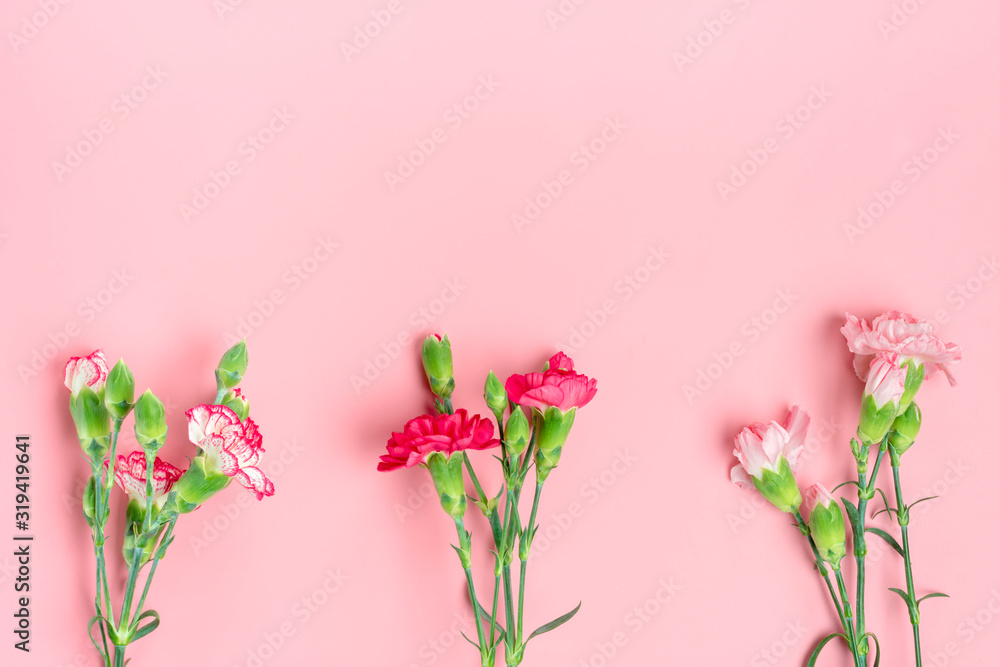 bouquet of different pink carnation flowers on pink background Top view Flat lay Holiday card 8 March, Happy Valentine's day, Mother's day concept