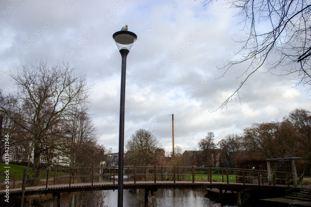 Crow being noisy on an old black square street lamp in Killarney park. Nice beautiful day towards the evening. Bad sign, superstitious simbol, omen. Odense. Denmark