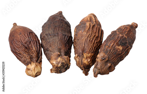 Dried raw betel or areca nut on white background photo