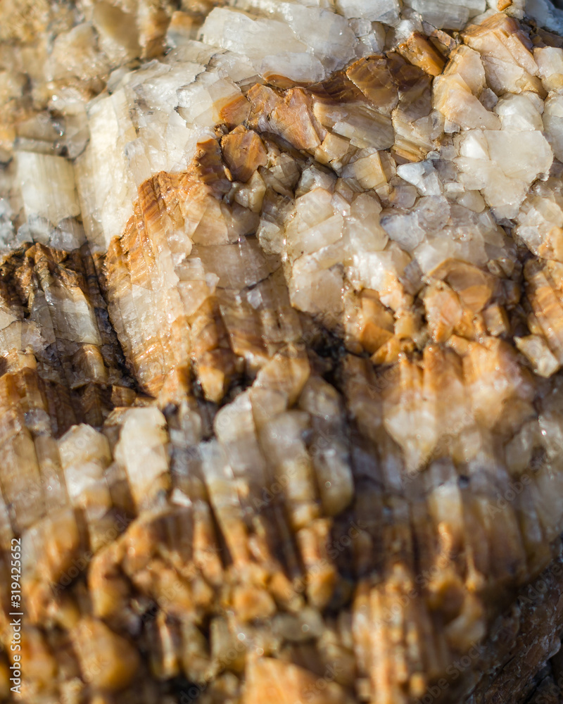 Textured Rock Textured Rock