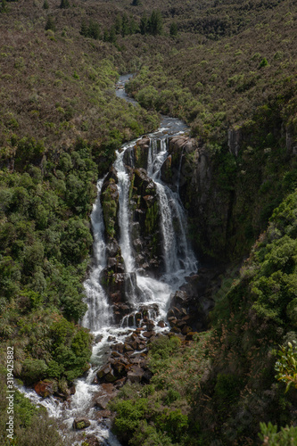 Waterfall Waipunga New Zealand. Forest