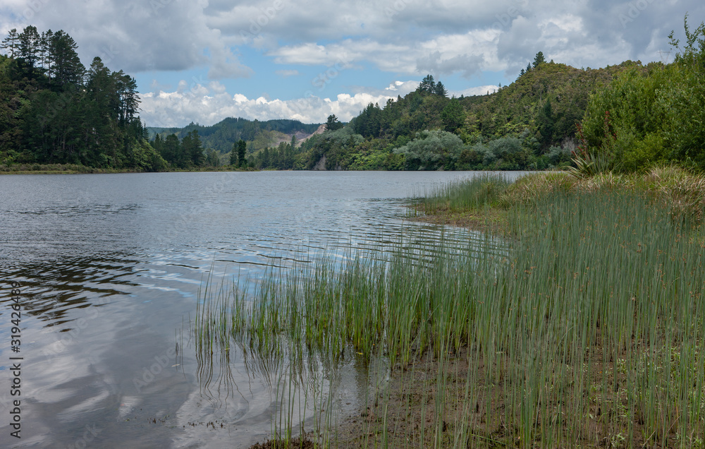 Lake near Taupo New Zealand