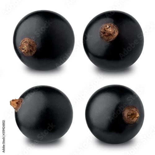 Set of black currant berries isolated on a white background.