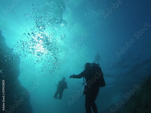 Wallpaper Mural scuba diving underwater at the sea Torontodigital.ca