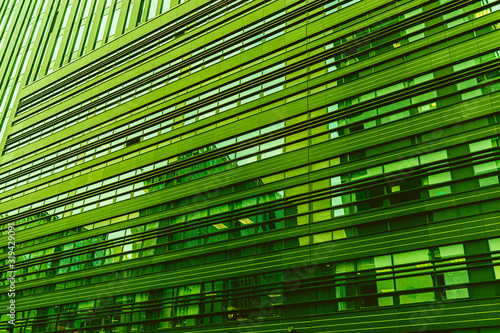 Green Modern building structure from steel and glass