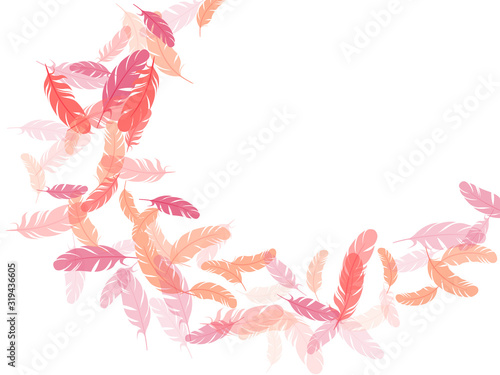Flying feather elements airy vector design.