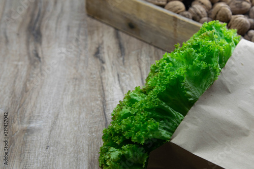 Background of Various Fresh Greens with Lettuce, Basil, nuts, Dill and Parsley photo