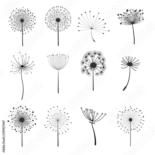 Set of dandelion flower elements