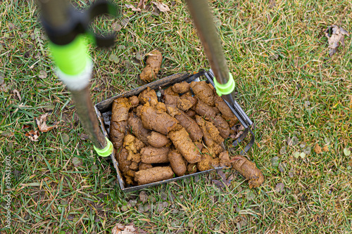 poop scooper is full of dog poop from your yard and is ready to dump