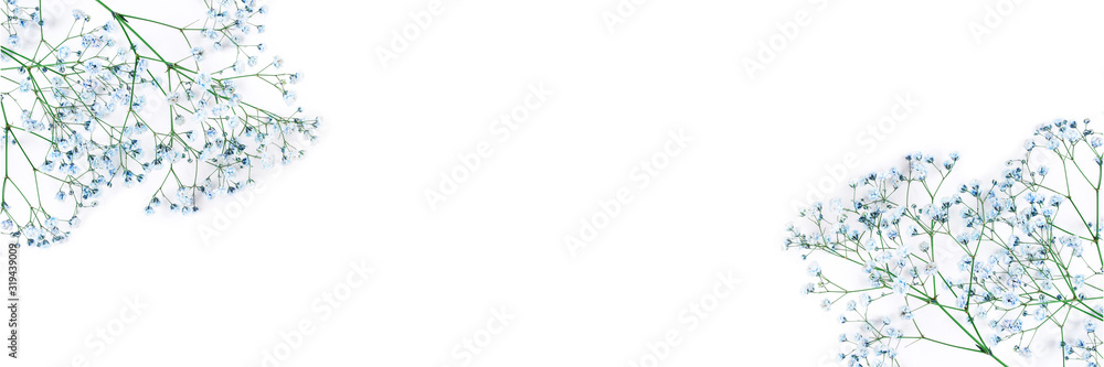 Beautiful flower background of blue gypsophila flowers. Stock Photo