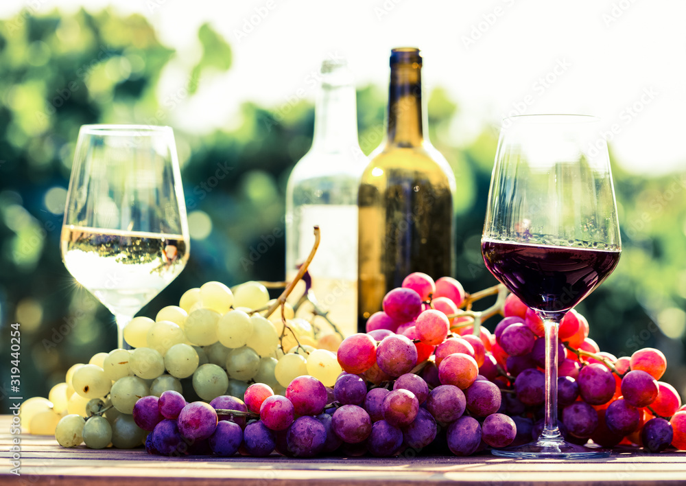 still life with glasses of red and white wine and grapes in field of vineyard