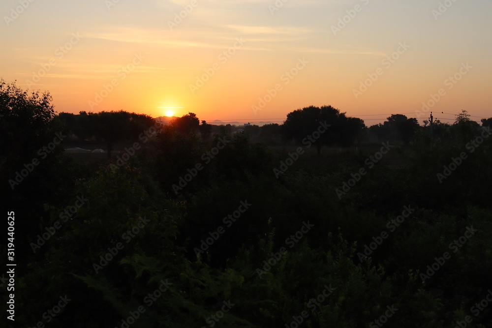 custom made wallpaper toronto digitalphoto of silhouette in sunrise
