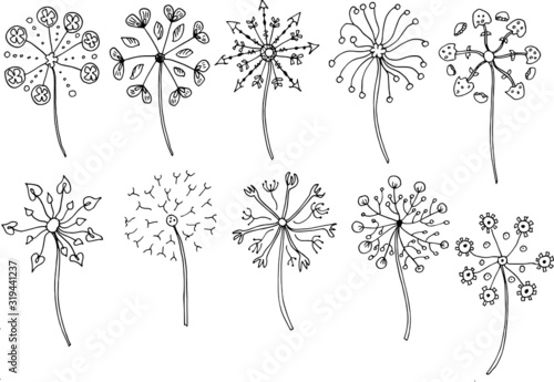 Plakat Vintage floral and herbal set. Graphic collection with fantasy flowers of dandelion. Hand drawn elements. Botanical illustrations on a white background