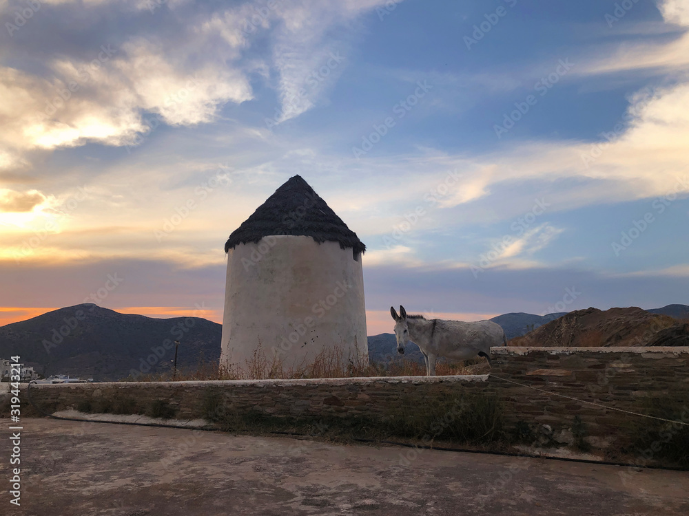 Donkey and windmill at sunset time at Ios town, Ios island, Greece Donkey and windmill at sunset time at Ios town, Ios island, Greece