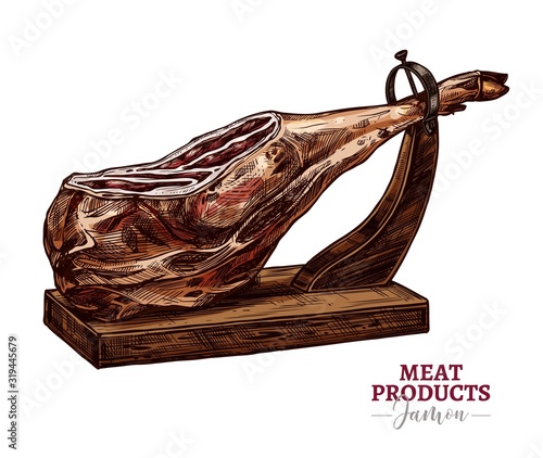 Dry-cured pork vector sketch illustration. Spanish jamon iberico or serrano on hamoneria isolated on white background in hand drawn engraving style. Farm meat product