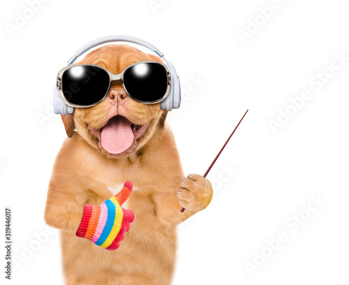Funny puppy wearing sunglasses listening wireless music with headphones pointing away on empty space and showing thumbs up gesture. Isolated on white background © Ermolaev Alexandr