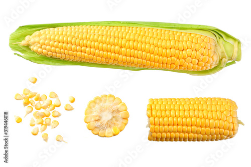Billede på lærred Fresh corn on cob isolated on white background