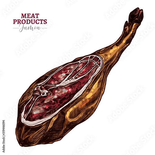 Spanish jamon hand drawn vector sketch. Colorful isolated drawing of meat product, farm pork leg in engraving style