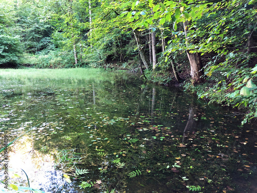 The lake Altmannenweier or Altmannenweiher pond (Three Ponds recreation area or Das Naherholungsgebiet Drei Weihern), Drei Weieren - St. Gallen, Switzerland photo