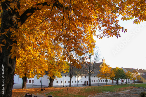 Canvas Print Autumn visit to the capital Oslo and Akershus Fortress, Norway