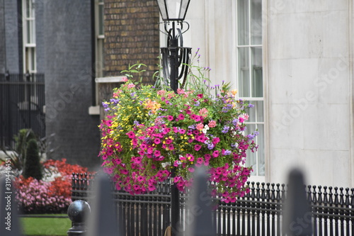 Canvas Print hanging flower basket in london