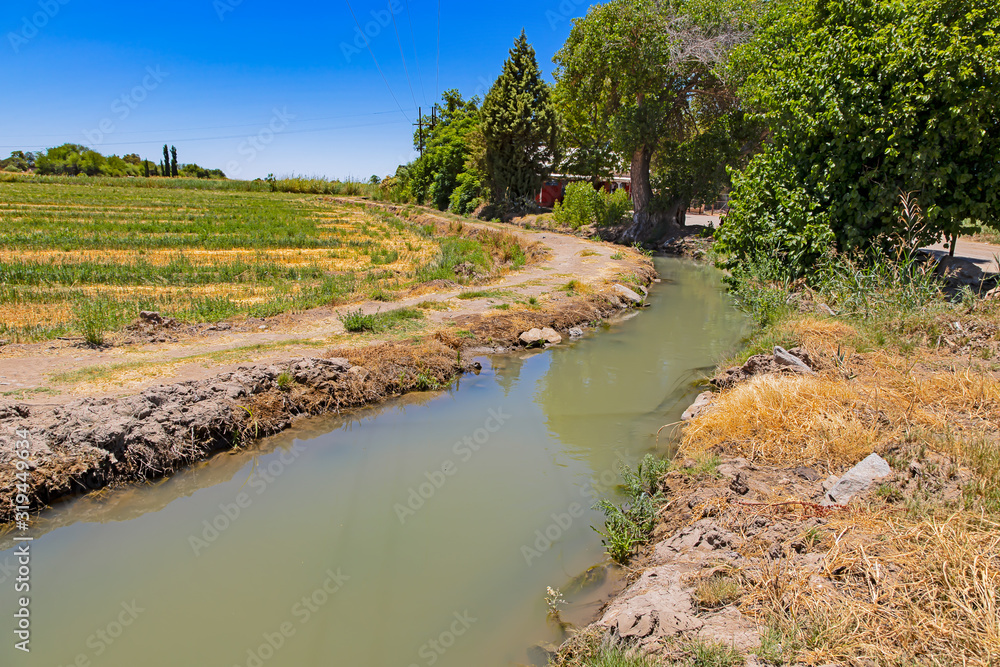 Irrigation canal on Kannon Island, Orange river