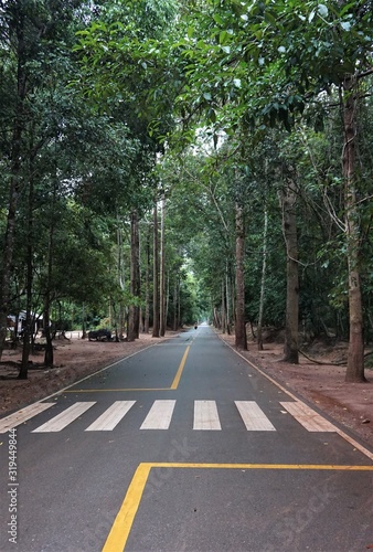 Empty straight road in the jungle of cambodia. Rain forest with high green trees.