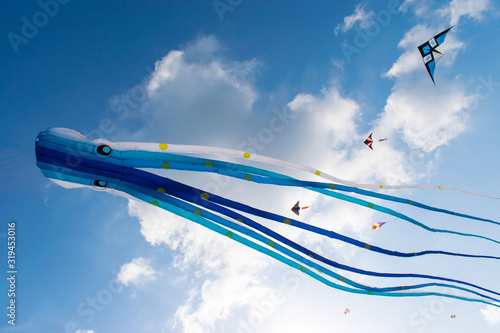 kites in the sky