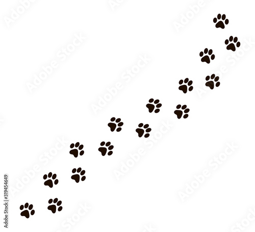 Paw vector trail print of cat isolated on white background. Dog or puppy silhouette animal tracks. Paw Print.  Vector illustration