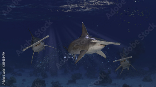 3 hammerhead sharks swimming together underwater while loking at camera with wondering eyes n 3d rendering