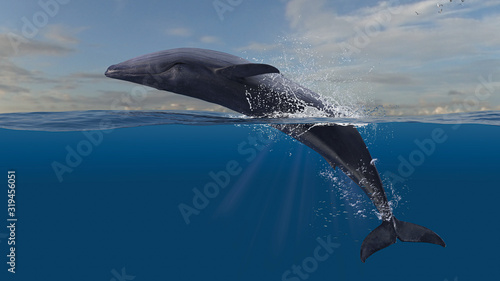 Blue whale reverse breaching and jumping while half is underwater diving in deep ocean 3d rendering