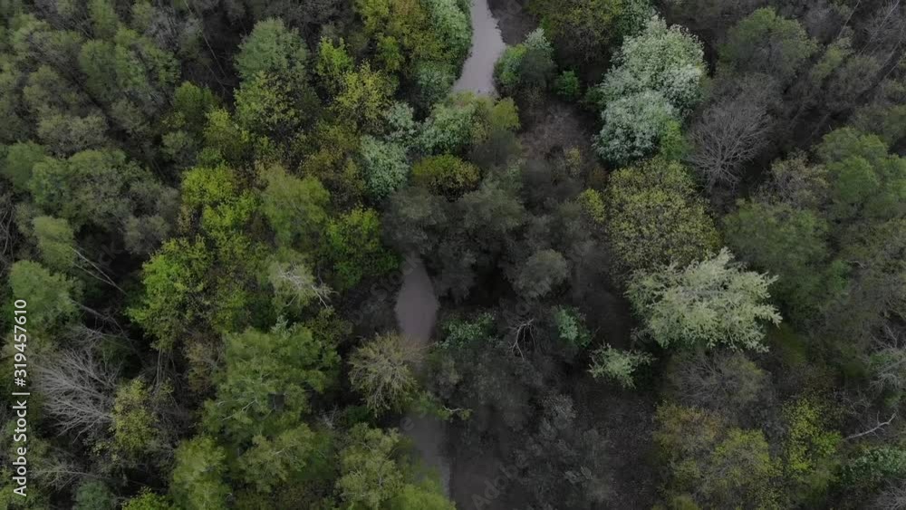 Lithuanian sea side Baltic sea beach drone video Lithuanian sea side Baltic sea beach drone video