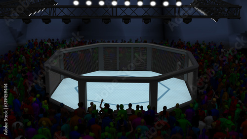 Fotografie Empty mixed martial arts octagon cage fighting area 3d render