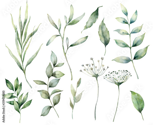 Set of watercolor spring branches and herbs. Hand painted eucalyptus leaves and grass isolated on a white background. Floral illustration for design, print, fabric, or background. Botanical set.