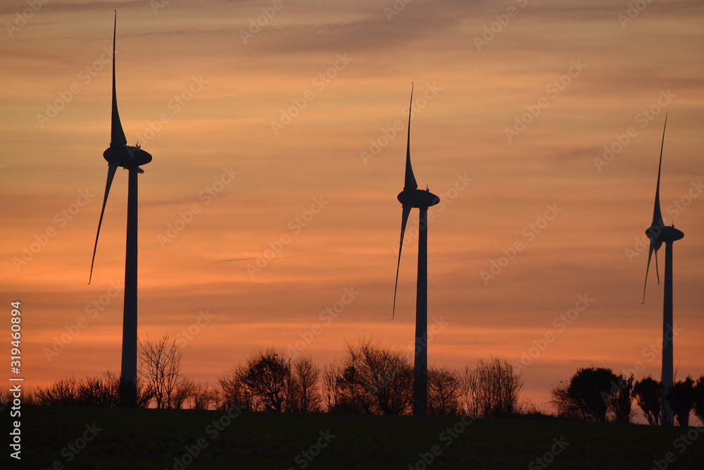 Obraz premium Parc éolien au coucher du soleil, Normandie, France