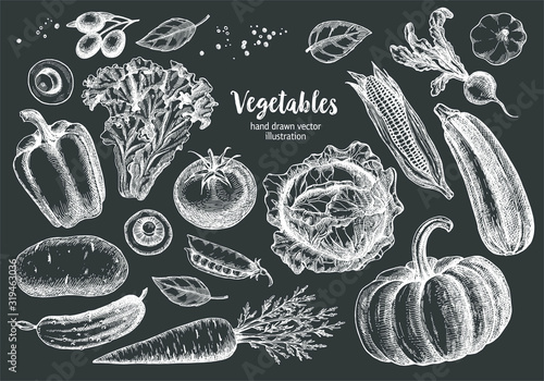 Vegetables Collection With Sketch or Hand Drawn Style on Blackboard Background