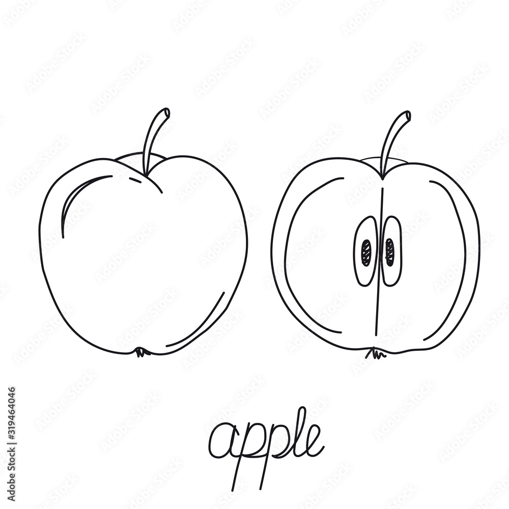 Fototapeta premium Fruit hand drawn. Fruits. Whole and sliced apple. Half, pie apple. Apple doodle icon isolated on white background. Set apples fruit sketch vector illustration with handwritten text. 