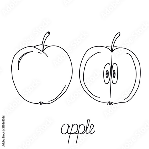 Fruit hand drawn. Fruits. Whole and sliced apple. Half, pie apple. Apple doodle icon isolated on white background.  Set apples fruit sketch vector illustration with handwritten text.  