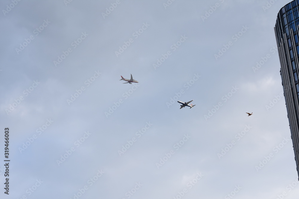 2 planes and a seagull