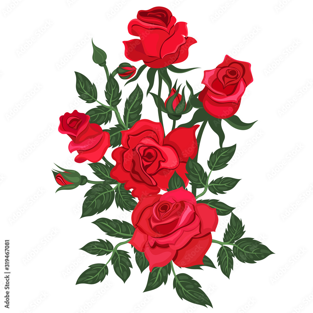 Bunch of red roses isolated on a white background. Vector graphics. Bunch of red roses isolated on a white background. Vector graphics.